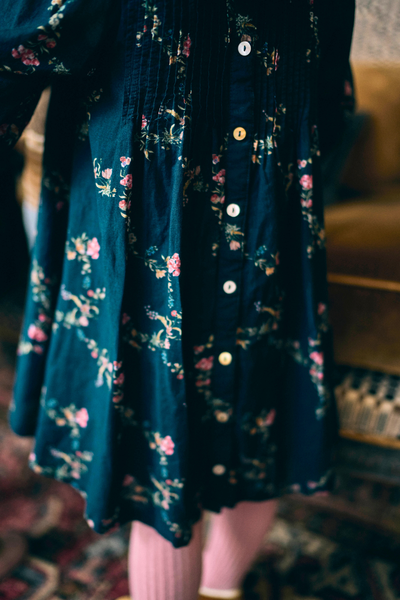 Charlotte Dress in Midnight Garden
