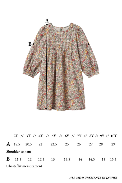 Charlotte Dress in Meadow