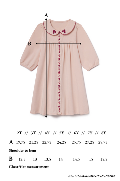 Collier Dress in Blushing Pink