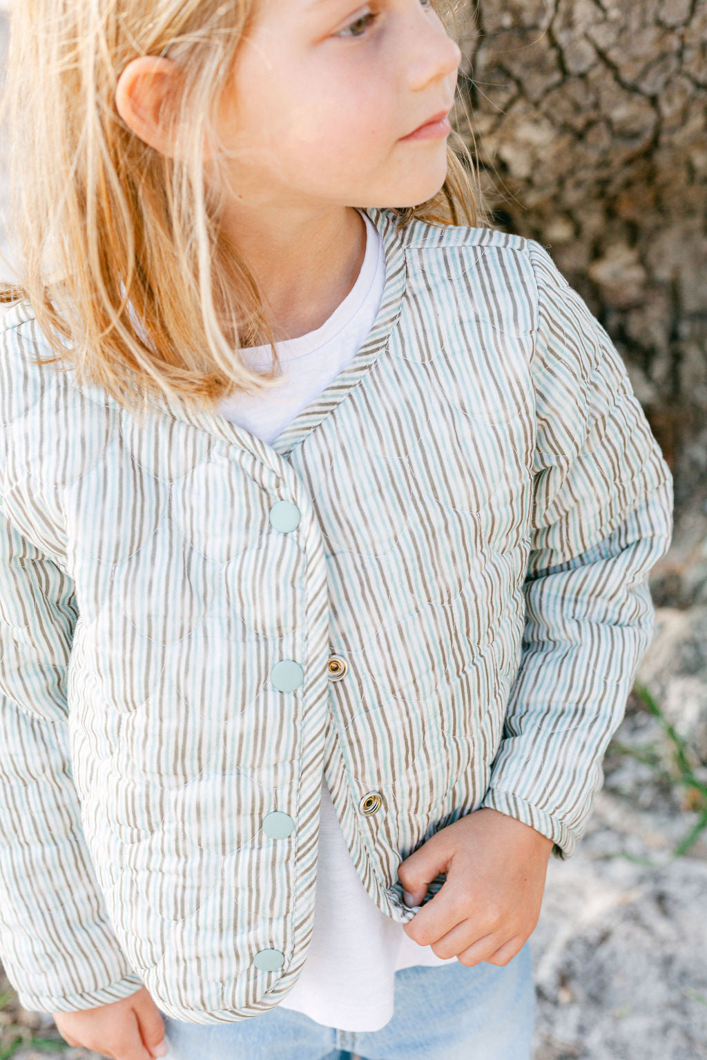 Lennox Jacket in Savannah Stripe