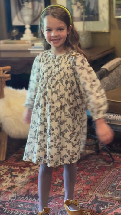 Charlotte Dress in Harvest Toile