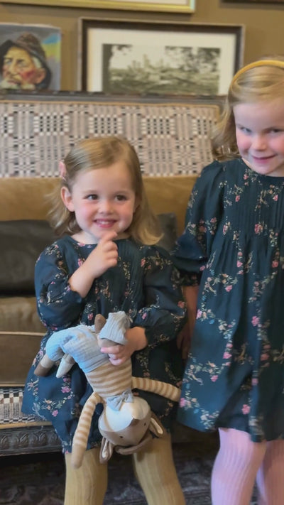 Charlotte Dress in Midnight Garden