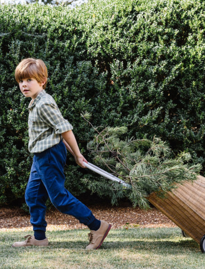 Young boy wearing a long sleeve checkered shirt and blue pants pulling a basket with pine branches outside.