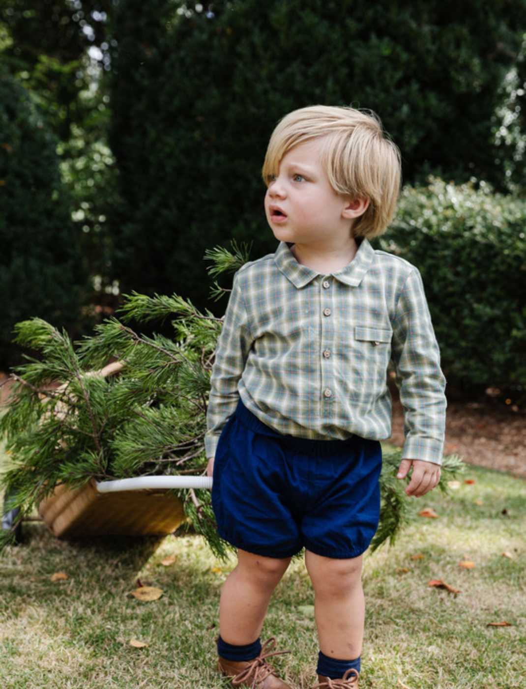 Little boy wearing a long sleeve checkered shirt and blue shorts pulling a basket with pine branches outside.